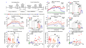 A figure from this study